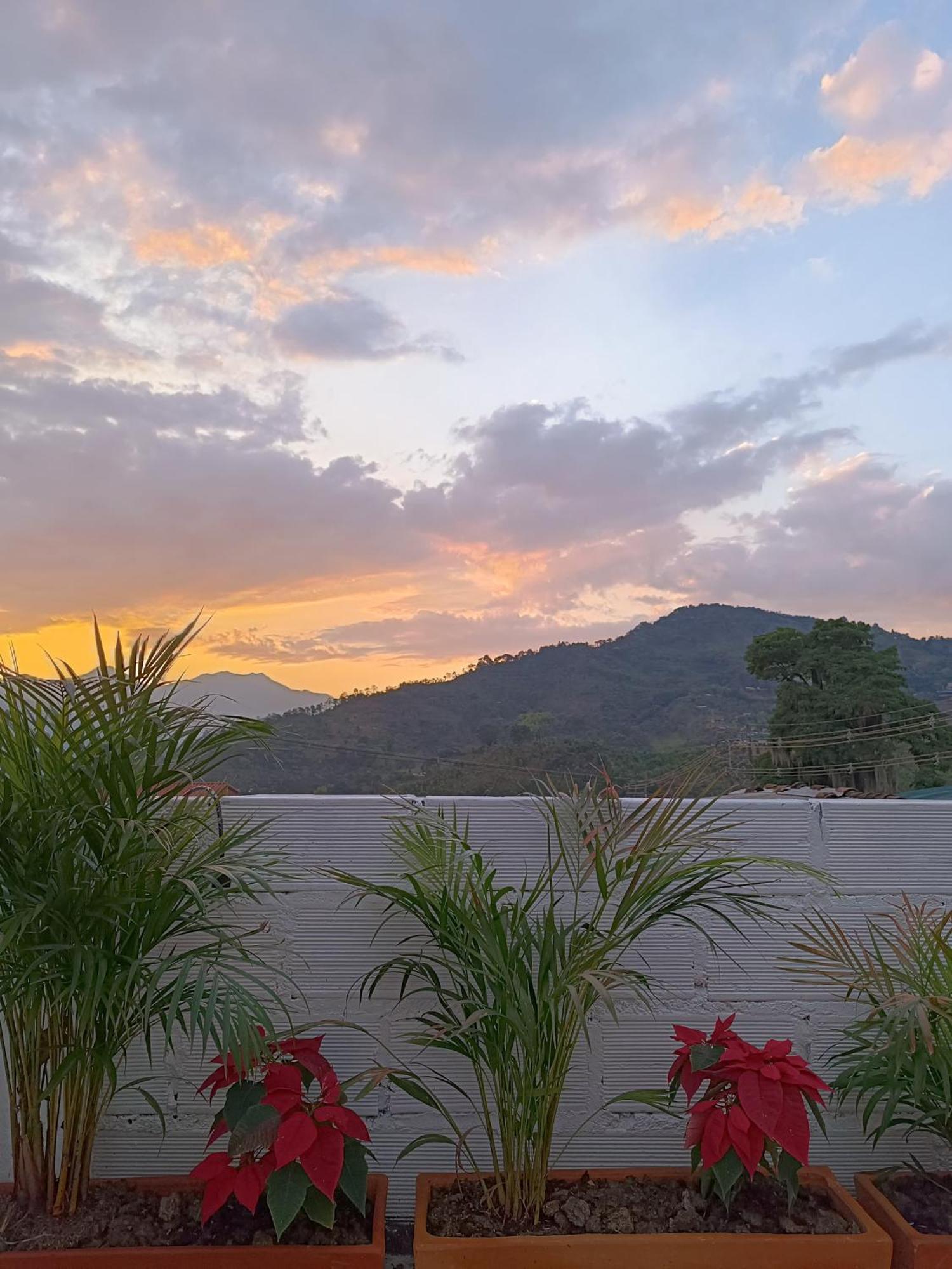 Magic Jardin Hostel - Patio, Balcony & Rooftop Exterior foto